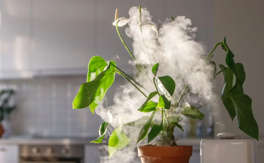 Co musisz wiedzieć o oczyszczaczach powietrza z jonizatorem