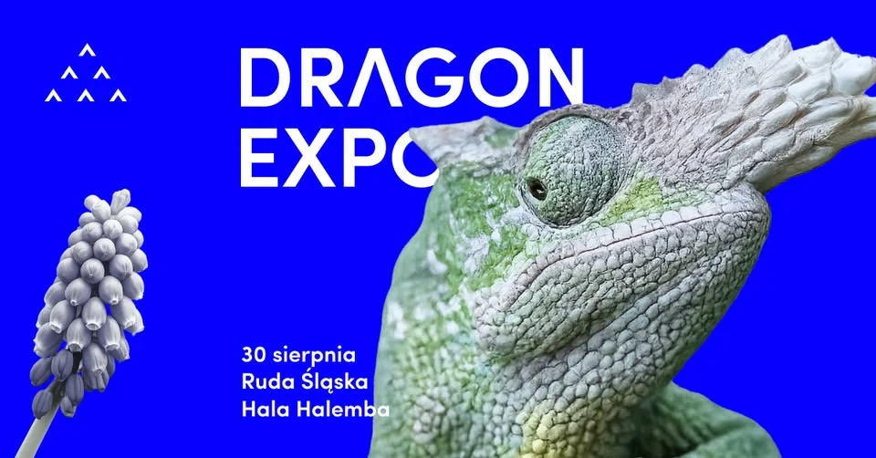 Grafika promocyjna wydarzenia Dragon Expo Ruda Śląska 2026