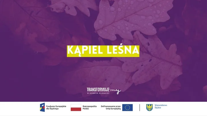 Grafika promocyjna wydarzenia Kąpiel leśna - słuch: spacer uważny i dźwiękowy po świętach