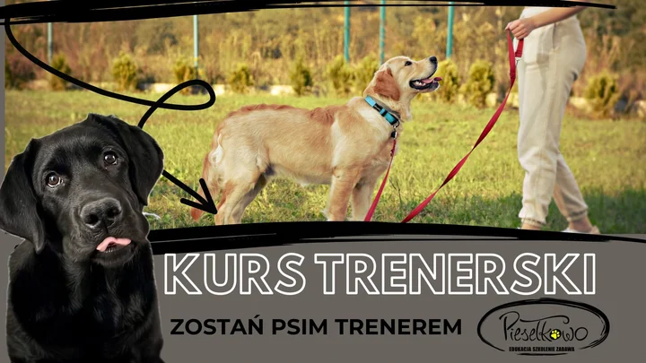 Obrazek przedstawia grafikę promocyjną wydarzenia Szkoła trenerów psów — półroczny kurs praktyczno-teoretyczny