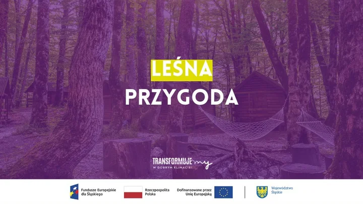 Grafika promocyjna wydarzenia Leśna przygoda — spacer, hamaki i bliskie spotkanie z naturą