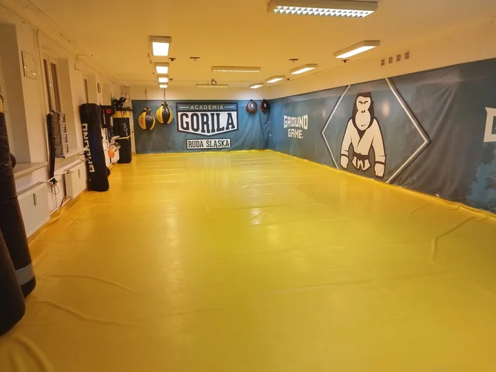 Obrazek przedstawia grafikę promocyjną wydarzenia Rozpocznij szkolenie z Brazylijskiego Jiu Jitsu w Rudzie Śląskiej