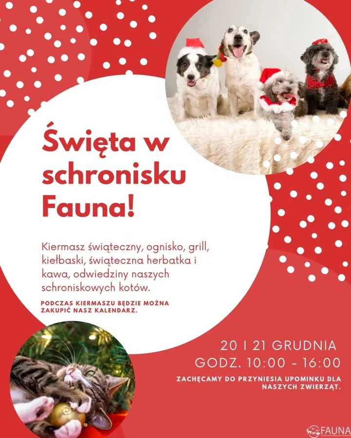 Grafika promocyjna wydarzenia Święta w schronisku Fauna — kiermasz, ognisko i odwiedziny zwierzaków