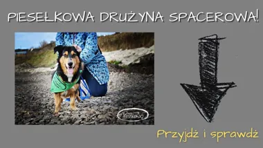 Grafika promocyjna wydarzenia Spacer socjalizacyjny! w Rudzie Śląskiej – spokojny spacer dla psów nieagresywnych