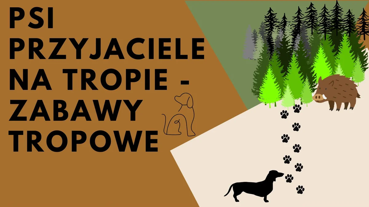 Grafika promocyjna wydarzenia Zajęcia węchowe dla psów w Rudzie Śląskiej