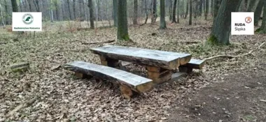Rudzkie lasy pod lupą. Modernizacje, nowe szlaki i duże wyzwania