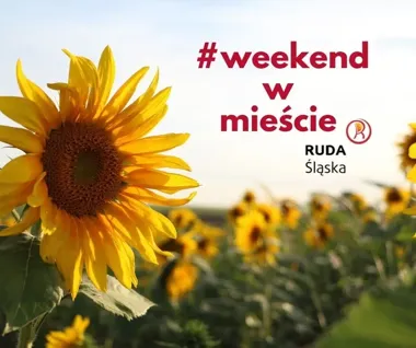 Ostatni wakacyjny weekend w Rudzie Śląskiej. Sport, muzyka i kino pod chmurką