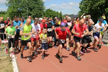 Bieg Wiewiórki wraca – trasa przez halembski las i terminy startów