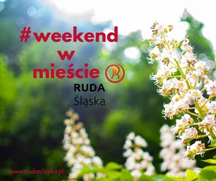 Weekend pełen ruchu i muzyki. Ruda Śląska ma program dla całych rodzin