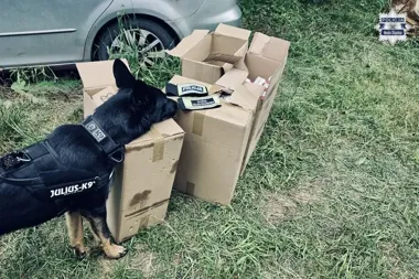 Ponad 1700 paczek i alkohol bez akcyzy - rudzcy policjanci zatrzymali trzy osoby