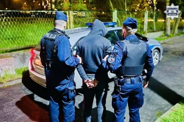 Błyskawiczna reakcja policji w Rudzie Śląskiej - 23-latek zatrzymany po kradzieży