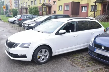 115 włamań i 60 tysięcy strat - operacyjni z Rudy Śląskiej domknęli sprawę