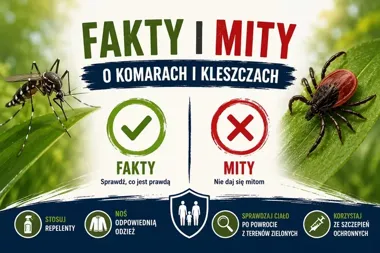 Komary i kleszcze wracają co lato. Sprawdzone zasady chronią lepiej niż strach